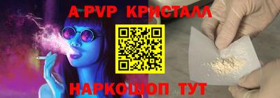 стаф Шебекино